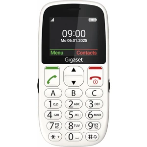 GL395 Tuşlu Cep Telefonu