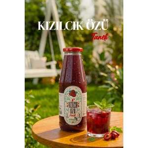 Karadut Dünyası Taneli Kızılcık Özü