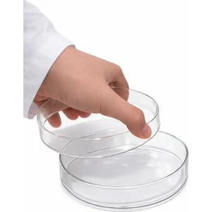 Petri Kabı Cam 6 cm