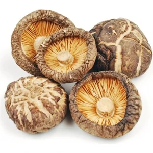 Xushi Gıda Kurutulmuş Shitake Mantarı 100gr