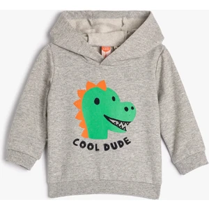 Kapşonlu Sweatshirt Şardonlu Dinozor Baskılı