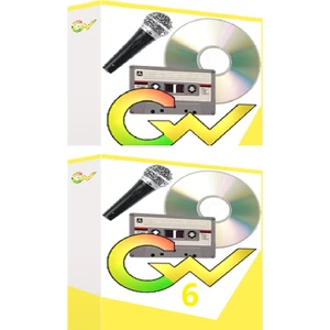Goldwave 6 (Windows) - 1 Pc Süresiz Ömür Boyu Abonelik Kodu