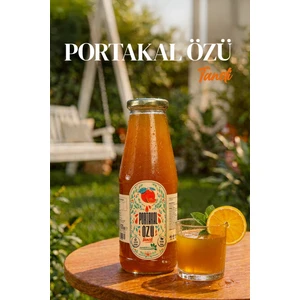 Ballı Portakal Özü 955GR