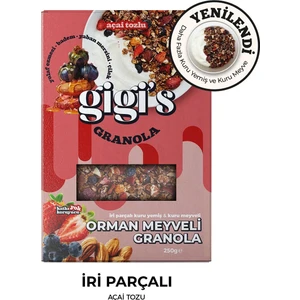 Orman Meyveli Granola