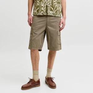 Jack & Jones Erkek Rahat Kalip Kargo Sort - Cole