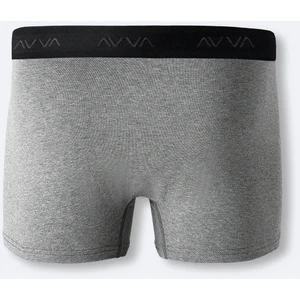 Erkek Antrasit Basic Pamuklu Tekli Regular Fit Boxer B009510