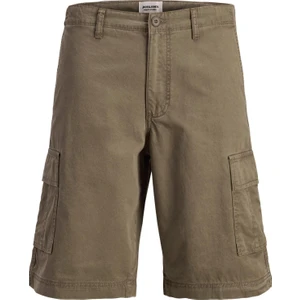 Jack & Jones Jpstcole Matty Erkek Kargo Şort