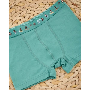Tencel™ Modal Erkek Çocuk Boxer
