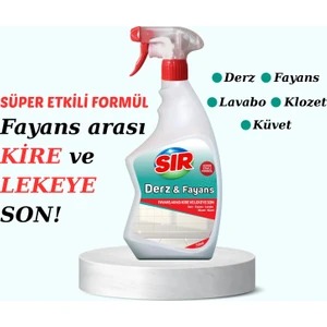 Derz Temizleyici 750 ml