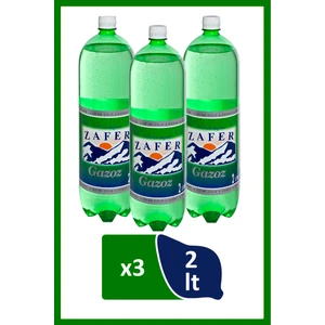 Gazoz 2 lt Sade x 3 Adet