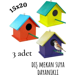 Değerli Hobi Ahşap Kuş Yuvası Boyalı Vernikli Dış Mekan Suya Dayanıklı 3 Adet