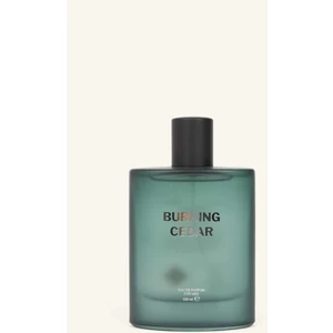 Erkek 100 ml Burning Cedar Parfüm H9660AXNS