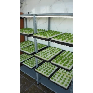 Hidroponik Farm Bitki Yetiştirme Süngeri