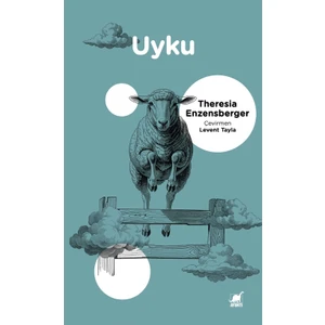Ayrıntı Yayınları Uyku