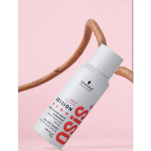 Osis Session Ekstra Tutucu Sprey 100 Ml
