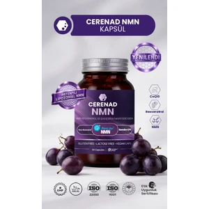 Cerenad Lipozomal NMN (Nikotinamid Mononükleotid)