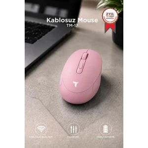 Mouse Çift Modlu Sessiz Kablosuz Fare TM17 Pembe