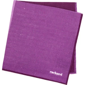 Erkek Mavi Keten Mendil 50257837-300