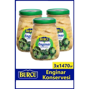 Enginar Konservesi 1470 gr x 3 Adet