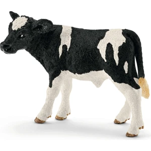 13798 Holstein Buzağı