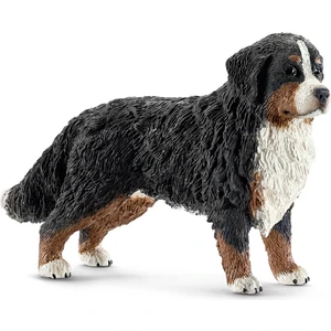 Bernese Dağ Köpeği, Dişi Figür