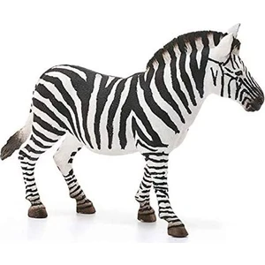 Dişi Zebra 14810