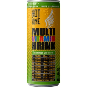 Multivitaminli Içecek 250 ml 24'lü