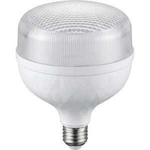 Ledsone 50W Torch Ampül