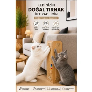 Kedi Tırmalama