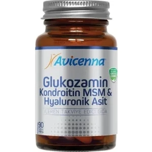 Glucosamine Chon+MSM