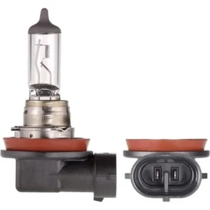 Tp Ampul H11 12v 55w Halogen