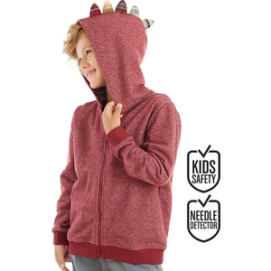 Ejderha Erkek Çocuk Kapişonlu Sweatshirt