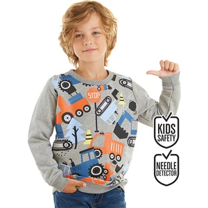 Sevimli Arabalar Erkek Çocuk Sweatshirt