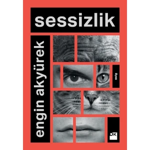 Doğan Kitap Sessizlik - Engin Akyürek