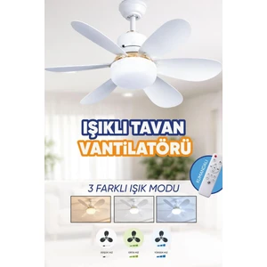 6 Kanatlı, Işıklı Sessiz Çalışma Tavan Tip Vantilatör