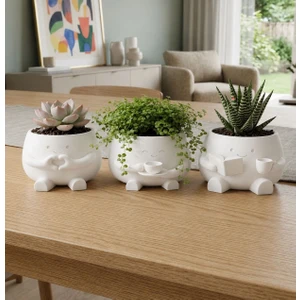 Sufle Home Dekor Dekoratif Mini Saksılık