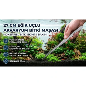 Marimo Scape Bitki Maşası 27 cm