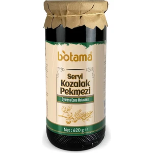 Servi Kozalak Pekmezi 620 Gr