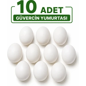 Güvercin Sahte Yumurta 10 Adet