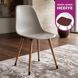 Eames Ahşap Ayak Plastik Sandalye