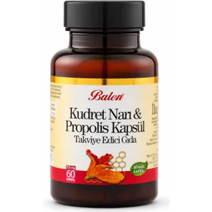 KUDRET NARI& PROPOLİS KAPSÜL 375 MG*60
