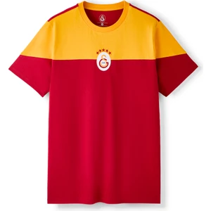 Gs Store Galatasaray Erkek T-Shirt E261040