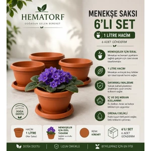 Menekşe Saksı 1 Litre - 6 Adet