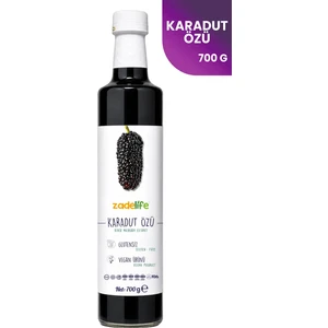 Karadut Özü 700 g