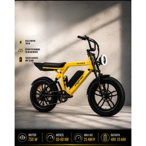 Ape Ryder Colobus Premıum 750W - Sarı