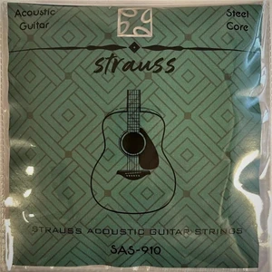 SAS-910 0.11 Akustik Gitar Takım Tel