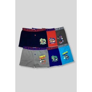 Erkek Çocuk Elastan Baskılı Boxer 6'lı Paket