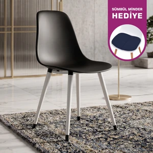 Eames Ahşap Ayak Plastik Sandalye