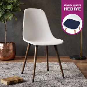 Eames Ahşap Ayak Plastik Sandalye