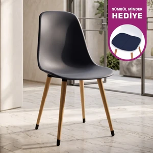 Eames Ahşap Ayak Plastik Sandalye